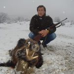"Hunting in Macedonia – mouflon, roe deer and Balkan hunting"