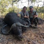 "Big game hunting in Zimbabwe – elephants, lions and classic safaris"