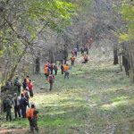 Hunting safaris in Hungary – wild boars, roe deer and red stags"