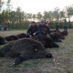 Hunting safaris in Hungary – wild boars, roe deer and red stags"