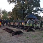 Hunting safaris in Hungary – wild boars, roe deer and red stags"