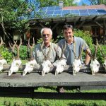 "Hunting in Poland – red deer, wild boars and wolves"