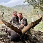 Big game hunting in Spain – driven hunts for wild boar, red deer and mouflon"