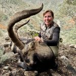 Big game hunting in Spain – driven hunts for wild boar, red deer and mouflon"