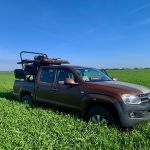 Hunting safaris in Hungary – wild boars, roe deer and red stags"