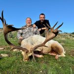 Big game hunting in Spain – driven hunts for wild boar, red deer and mouflon"
