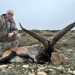 Big game hunting in Spain – driven hunts for wild boar, red deer and mouflon"