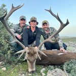 Big game hunting in Spain – driven hunts for wild boar, red deer and mouflon"