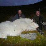 "Hunting in the United States – deer, bears and moose"