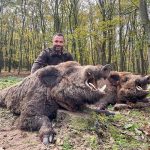 Hunting safaris in Hungary – wild boars, roe deer and red stags"