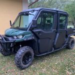 Hunting safaris in Hungary – wild boars, roe deer and red stags"