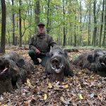 Hunting safaris in Hungary – wild boars, roe deer and red stags"