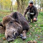 Hunting safaris in Hungary – wild boars, roe deer and red stags"