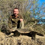 "Hunting safaris in South Africa – rhinos, buffalos and antelopes"