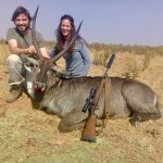 "Hunting safaris in South Africa – rhinos, buffalos and antelopes"