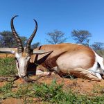 "Big game hunting in Namibia – oryx, kudu and desert safaris"