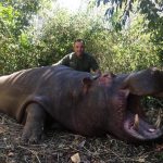 "Hunting safaris in South Africa – rhinos, buffalos and antelopes"