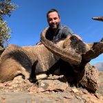 Big game hunting in Spain – driven hunts for wild boar, red deer and mouflon"