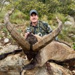 Big game hunting in Spain – driven hunts for wild boar, red deer and mouflon"