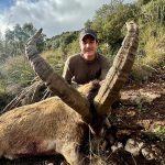 Big game hunting in Spain – driven hunts for wild boar, red deer and mouflon"