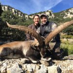 Big game hunting in Spain – driven hunts for wild boar, red deer and mouflon"