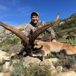 Big game hunting in Spain – driven hunts for wild boar, red deer and mouflon"
