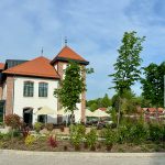 Hunting safaris in Hungary – wild boars, roe deer and red stags"