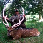 "Hunting in Argentina – red stags, antelopes and pumas"