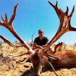 Big game hunting in Spain – driven hunts for wild boar, red deer and mouflon"