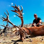 Big game hunting in Spain – driven hunts for wild boar, red deer and mouflon"