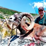 Big game hunting in Spain – driven hunts for wild boar, red deer and mouflon"