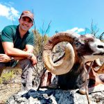 Big game hunting in Spain – driven hunts for wild boar, red deer and mouflon"