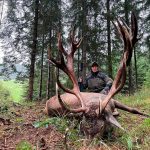 Big game hunting in Austria – red deer, chamois and roe deer in the Alps"