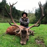 Big game hunting in Austria – red deer, chamois and roe deer in the Alps"