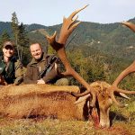 Big game hunting in Austria – red deer, chamois and roe deer in the Alps"