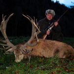 Big game hunting in Austria – red deer, chamois and roe deer in the Alps"