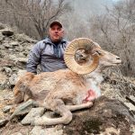 "Hunting in Greenland – (Muskox, Caribou (female), Arctic fox, Snow hare and grouse),caribou bulls