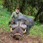 "Hunting in Ethiopia – mountain nyala, kudu and endemic species"