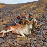 Hunting in Kyrgyzstan – ibex, marco polo sheep and Tian Shan mountains"