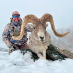 Hunting in Kyrgyzstan – ibex, marco polo sheep and Tian Shan mountains"