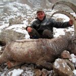 Hunting in Kyrgyzstan – ibex, marco polo sheep and Tian Shan mountains"