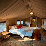 "Hunting in Tanzania – lions, elephants and legendary safaris"