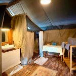 "Hunting in Tanzania – lions, elephants and legendary safaris"