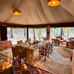 "Hunting in Tanzania – lions, elephants and legendary safaris"