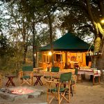 "Hunting in Tanzania – lions, elephants and legendary safaris"