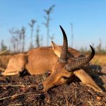 "Hunting in Tanzania – lions, elephants and legendary safaris"