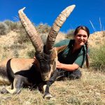 Big game hunting in Spain – driven hunts for wild boar, red deer and mouflon"