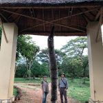 "Hunting in Uganda – kob, buffalos and unique African wildlife"