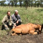 "Hunting in Uganda – kob, buffalos and unique African wildlife"