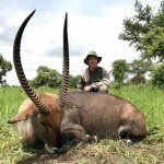 "Hunting in Uganda – kob, buffalos and unique African wildlife"